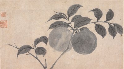 Zweig eines fruchttragenden Baumes von Shen Zhou